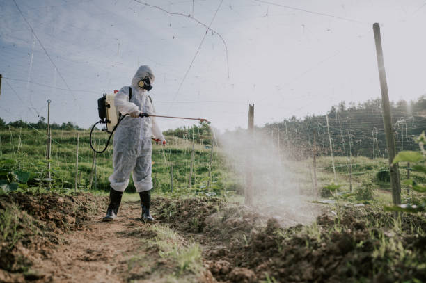 Best Mosquito Control Services  in North Riverside, IL