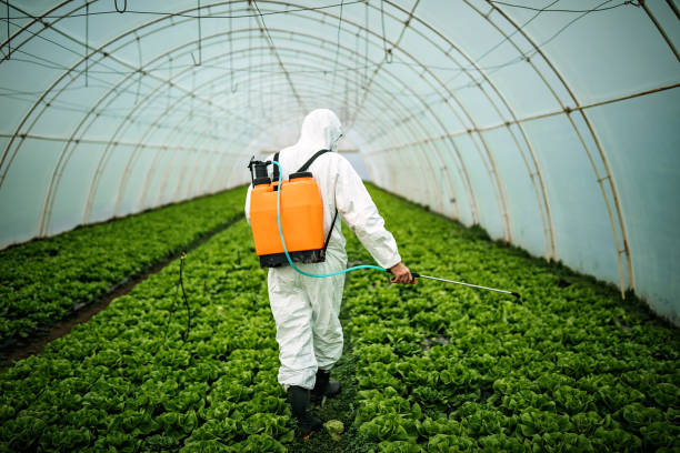 Best Best Pest Control Companies  in North Riverside, IL