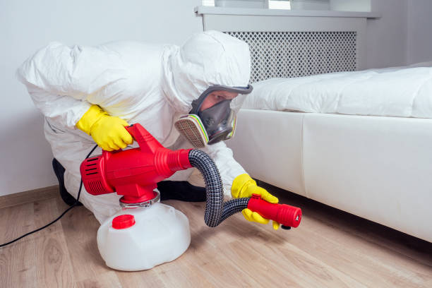 Reliable North Riverside, IL Pest Control Solutions