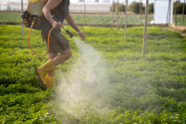 Best Pest Removal Services  in North Riverside, IL