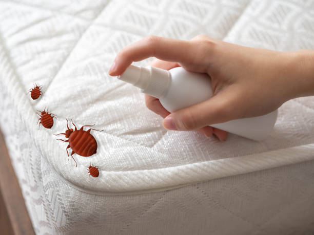 Professional Pest Control in North Riverside, IL