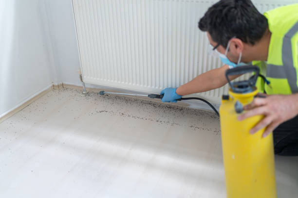 Best Emergency Pest Control  in North Riverside, IL